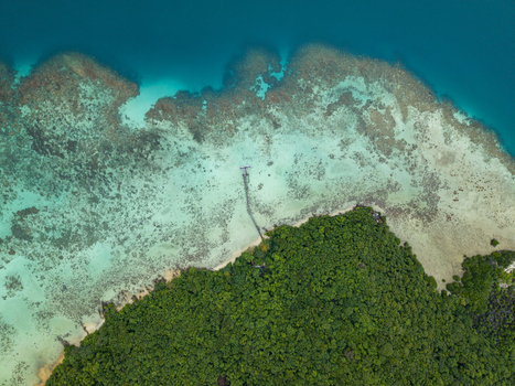 Aerial view of the vibrant turquoise water meeting the lush greenery of the island s edge a serene blend of nature s artistry Turtle Conservation Karimunjawa Central Java Indonesia.