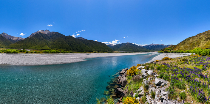 Aerial view of a turquoise river flowing through a rocky riverbed with lush green mountains and vibrant purple lupine flowers under a clear blue sky in Canterbury Region New Zealand.