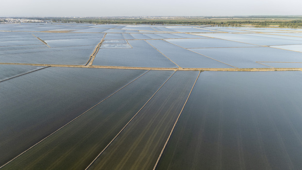 Aerial view of the flooded rice fields of Isla Minima with geometric patterns of water and narrow dirt paths under a clear sky in Coria del Rio Andalusia Spain. Aerial view of the flooded rice fields of Isla Minima with geometric patterns of water and narrow dirt paths under a clear sky in Coria del Rio Andalusia Spain.