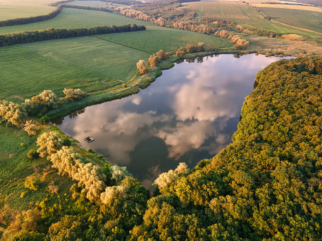 Aerial view of the lake reflecting the sky surrounded by lush green fields and dense forests Chyhyryns kyi district Cherkasy Oblast Ukraine.