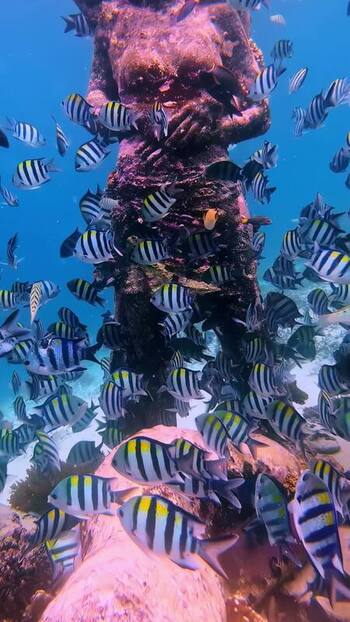View of underwater statues surrounded by fish in Bali Indonesia. View of underwater statues surrounded by fish in Bali Indonesia.