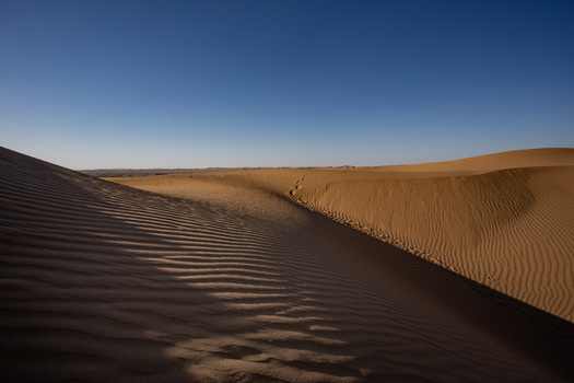 View of golden sand dunes stretching endlessly under a brilliant blue sky with deep shadows highlighting rippling textures Bahawalpur Pakistan.