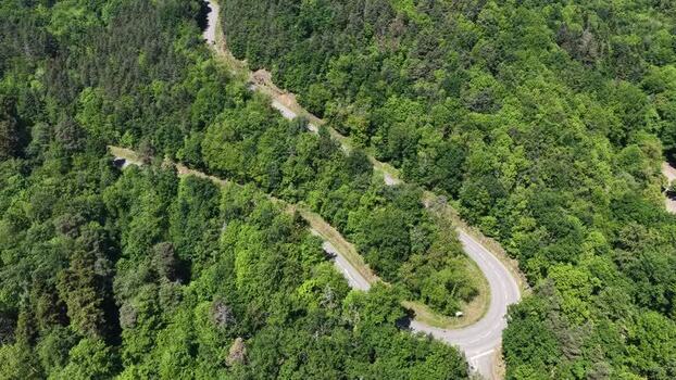 Aerial view of a winding road through a dense forest France.