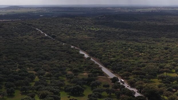 Aerial view of a road through dense forest with vehicles Portugal.
