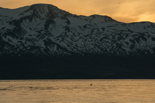 View of the serene still water reflecting the golden sunset with snow capped mountains looming majestically in the distance H&uacute;sav&iacute;k Nor&eth;ur&thorn;ing Iceland.