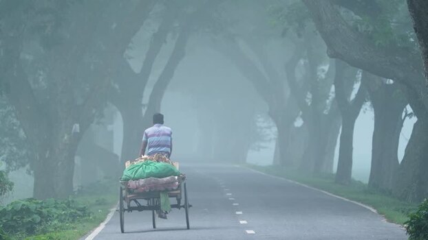 View of a man on a cart on a foggy tree lined road Bangladesh.