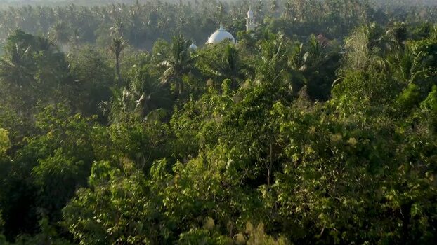 Aerial view of Sumberkima mosque dome among palm trees Indonesia. Aerial view of Sumberkima mosque dome among palm trees Indonesia.
