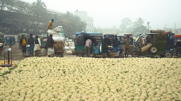 View of a busy vegetable market with cauliflower Bangladesh. View of a busy vegetable market with cauliflower Bangladesh.