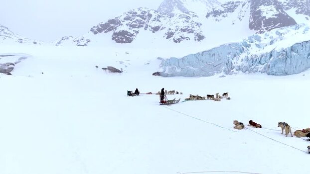 Aerial view of dog sleds on a snowy plain Greenland. Aerial view of dog sleds on a snowy plain Greenland.