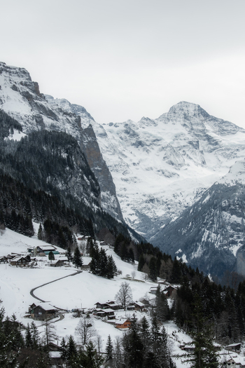 View of snow laden chalets nestling amidst the stark snow covered slopes and towering peaks under a muted sky Wengen Switzerland. View of snow laden chalets nestling amidst the stark snow covered slopes and towering peaks under a muted sky Wengen Switzerland.