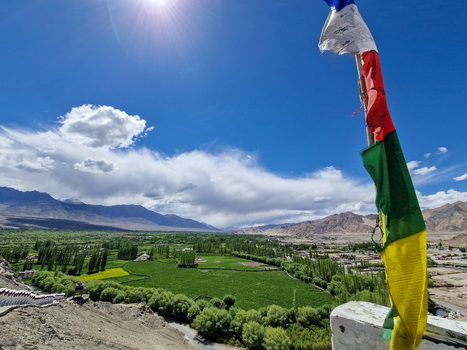 View of Shey Palace Ladakh overlooking the lush green valley with vibrant prayer flags fluttering in the wind under a bright blue sky in Shey Ladakh India.