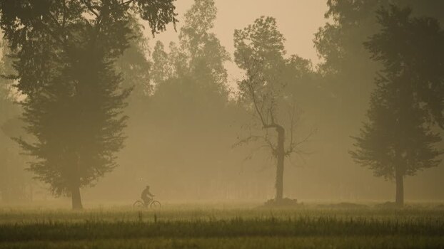 View of a person riding a bicycle through a misty field Bangladesh.