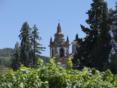 View of the historic bell tower of the Fundacao da Casa de Mateus rising above lush green vineyard foliage and tall trees under a clear blue sky in Vila Real Vila Real Portugal.