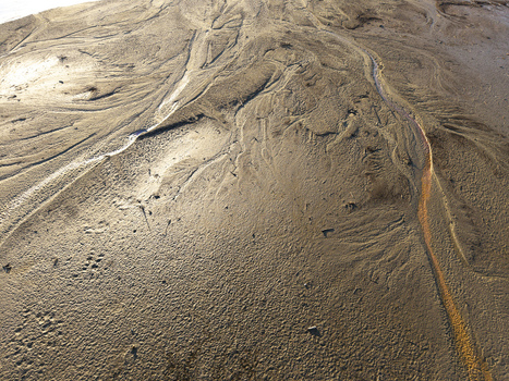 Aerial view of the exposed muddy shoreline of Lake Czorsztynskie with intricate water drainage patterns and textures in Nowy Targ County Lesser Poland Voivode Poland. Aerial view of the exposed muddy shoreline of Lake Czorsztynskie with intricate water drainage patterns and textures in Nowy Targ County Lesser Poland Voivode Poland.