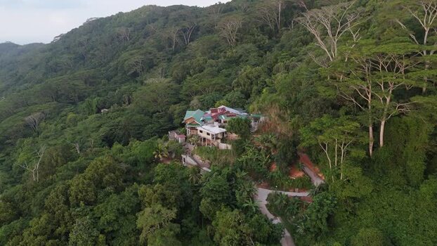 Aerial view of a house in the tropical forest Seychelles.