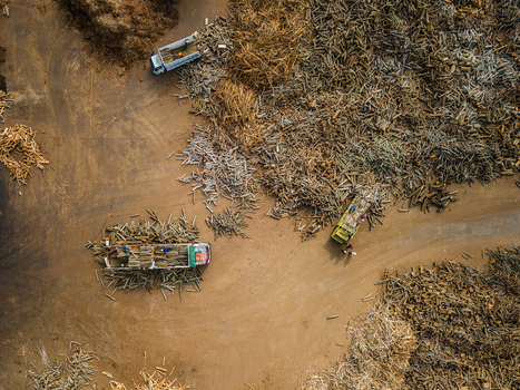Aerial view of a lumber yard with piles of logs timber and trucks being loaded by workers in Boyolali Central Java Indonesia.