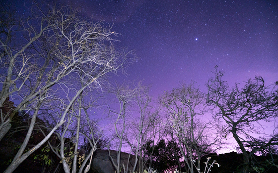 View of bare trees silhouetted against a vibrant purple night sky filled with stars in Hampi Karnataka India. View of bare trees silhouetted against a vibrant purple night sky filled with stars in Hampi Karnataka India.