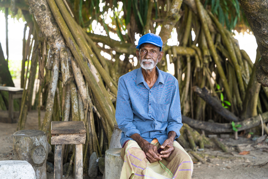 Sri Lanka 15 January 2026 View of an elderly man with a grey beard and blue cap sitting in front of a large tree with aerial roots.
