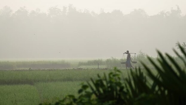 View of a man carrying a yoke in a misty field Bangladesh. View of a man carrying a yoke in a misty field Bangladesh.