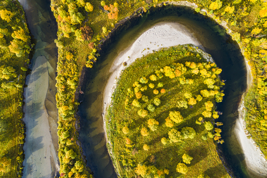 Aerial view of Ljusnan river winding through vibrant autumn forests with golden trees and sandy riverbanks in Bruksvallarna Jamtland County Sweden. Aerial view of Ljusnan river winding through vibrant autumn forests with golden trees and sandy riverbanks in Bruksvallarna Jamtland County Sweden.