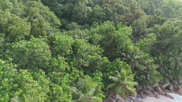 Aerial view of Anse Georgette and lush tropical forest Seychelles.