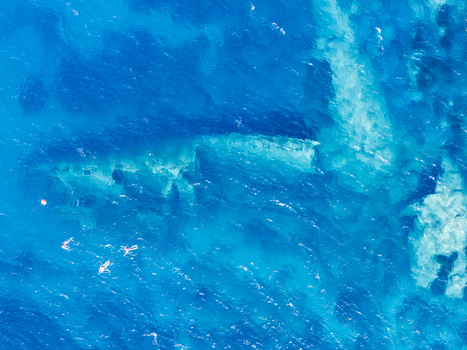Aerial view of the Elviscot shipwreck submerged in clear blue water with snorkelers swimming nearby in Pomonte Province of Livorno Italy.