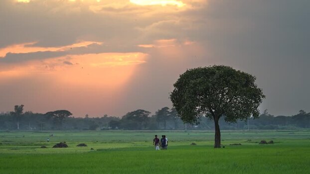 View of people walking in a field at sunset Bangladesh.