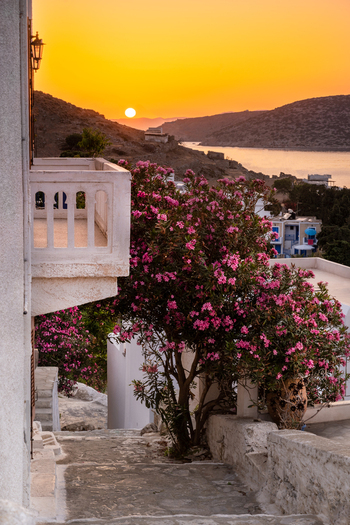 View of a sunset over the sea and hills from a balcony in Lefkada Greece featuring vibrant pink oleander flowers and white stone architecture.