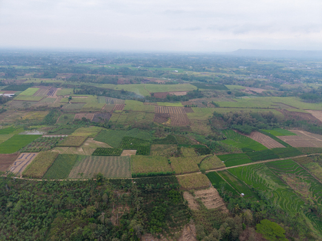 Aerial view of agricultural fields and plantations in the rural landscape near Lahor Dam in Kecamatan Sumberpucung Jawa Timur Indonesia.