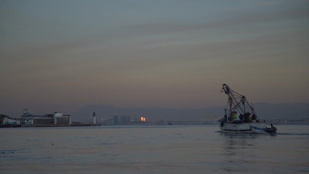 Aerial view of fishing boat in harbor at dusk Algeria.