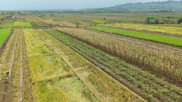 Aerial view of agricultural land in Kendal Indonesia.