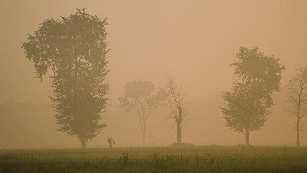 View of a person walking through a misty field in Bogura Bangladesh.