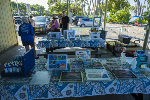 Aerial view of an information table with reef education materials and books at Kahalu u Beach Park with people and parked cars in Kailua Kona Hawaii United States. Aerial view of an information table with reef education materials and books at Kahalu u Beach Park with people and parked cars in Kailua Kona Hawaii United States.