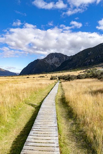 View of a solitary wooden boardwalk cuts through golden grasslands towards majestic mountains under a bright sky Mount Cook Canterbury Region New Zealand. View of a solitary wooden boardwalk cuts through golden grasslands towards majestic mountains under a bright sky Mount Cook Canterbury Region New Zealand.