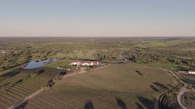Aerial view of a rural estate and vineyards in Albernoa Portugal. Aerial view of a rural estate and vineyards in Albernoa Portugal.
