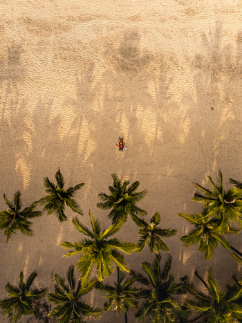 Aerial view of a person relaxing on the sandy beach surrounded by lush palm trees casting long shadows in Vietnam. Aerial view of a person relaxing on the sandy beach surrounded by lush palm trees casting long shadows in Vietnam.