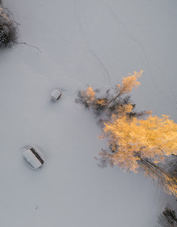 Aerial view of snow covered landscape with golden sunlight hitting frost covered trees and small wooden structures in a winter forest in Latvia. Aerial view of snow covered landscape with golden sunlight hitting frost covered trees and small wooden structures in a winter forest in Latvia.