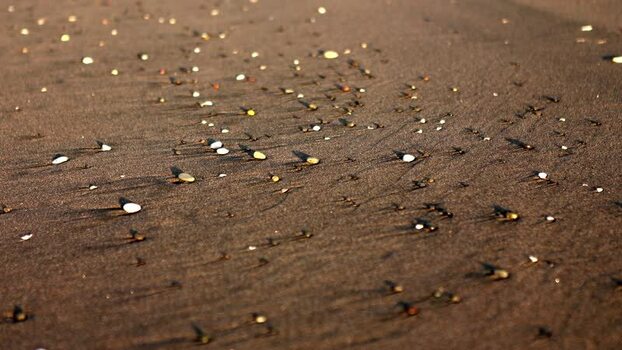 View of Clifton Road beach sand and pebbles New Zealand. View of Clifton Road beach sand and pebbles New Zealand.