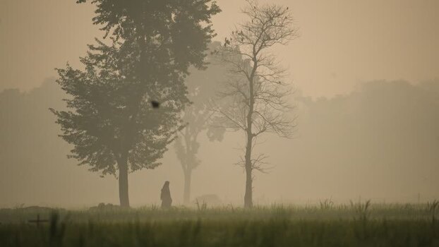 View of a person walking through a foggy rural field Bangladesh. View of a person walking through a foggy rural field Bangladesh.