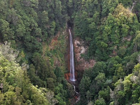 Aerial view of Cascata da Ribeira Quente waterfall cascading down a rocky cliff surrounded by dense green forest in Ribeira Quente Azores Portugal. Aerial view of Cascata da Ribeira Quente waterfall cascading down a rocky cliff surrounded by dense green forest in Ribeira Quente Azores Portugal.