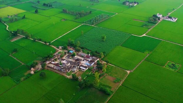 Aerial view of a rural village surrounded by green fields India.