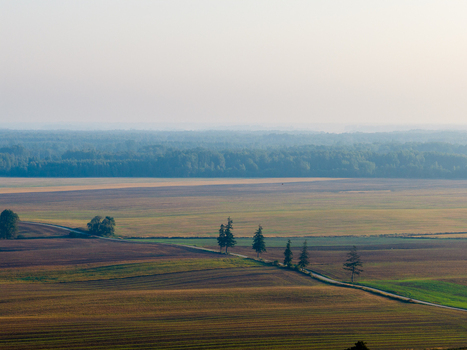 Aerial view of the rural landscape of Taujenai with vast agricultural fields a tree lined road and a dense forest under a hazy light Taujenai Vilnius County Lithuania.