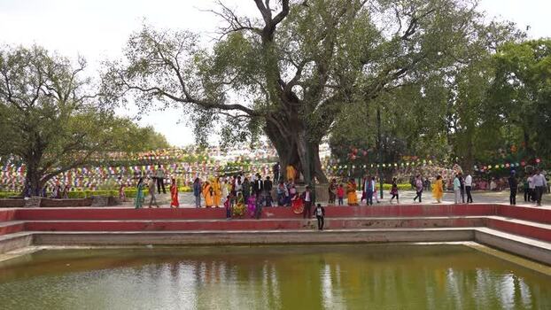 View of the Sacred Pond and Bodhi Tree at the Maya Devi Temple Nepal.