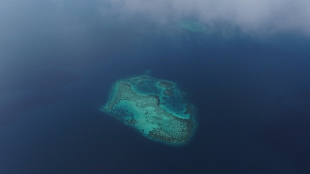 Aerial view of a coral reef in the blue ocean Maldives. Aerial view of a coral reef in the blue ocean Maldives.