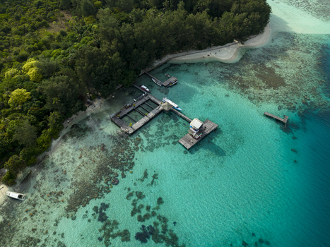 Aerial view of the Shark Breeding Menjangan Kecil where turquoise waters meet the lush greenery of the island Karimunjawa Central Java Indonesia.