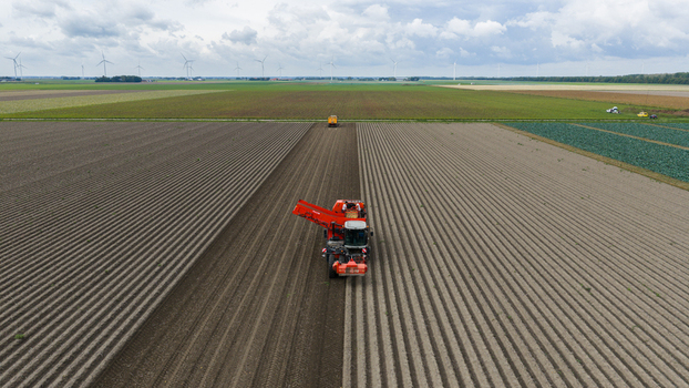 Zeewolde Netherlands 02 September 2026 Aerial view of a potato harvester working in a large agricultural field with rows of soil and wind turbines in the distance. Zeewolde Netherlands 02 September 2026 Aerial view of a potato harvester working in a large agricultural field with rows of soil and wind turbines in the distance.