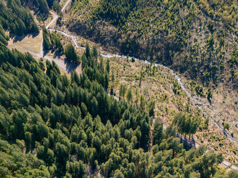 Aerial view of the lush Demanovska Dolina valley with a winding mountain stream and dense evergreen forests under bright sunlight Demanovska Dolina Zilina Region Slovakia.