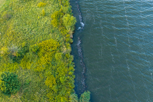 Aerial view of the Vistula River bank with lush green vegetation and yellow wildflowers in Pomeranian Voivodeship Poland. Aerial view of the Vistula River bank with lush green vegetation and yellow wildflowers in Pomeranian Voivodeship Poland.