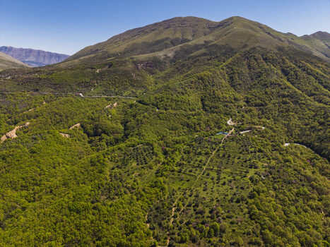 Aerial view of the lush green landscape of Muzina Pass with dense forests winding mountain roads and rolling hills under a clear blue sky in Muzina Qarku i Vlores Albania. Aerial view of the lush green landscape of Muzina Pass with dense forests winding mountain roads and rolling hills under a clear blue sky in Muzina Qarku i Vlores Albania.