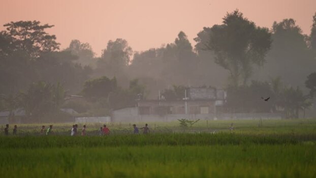 View of people walking through green fields at sunrise Bangladesh.